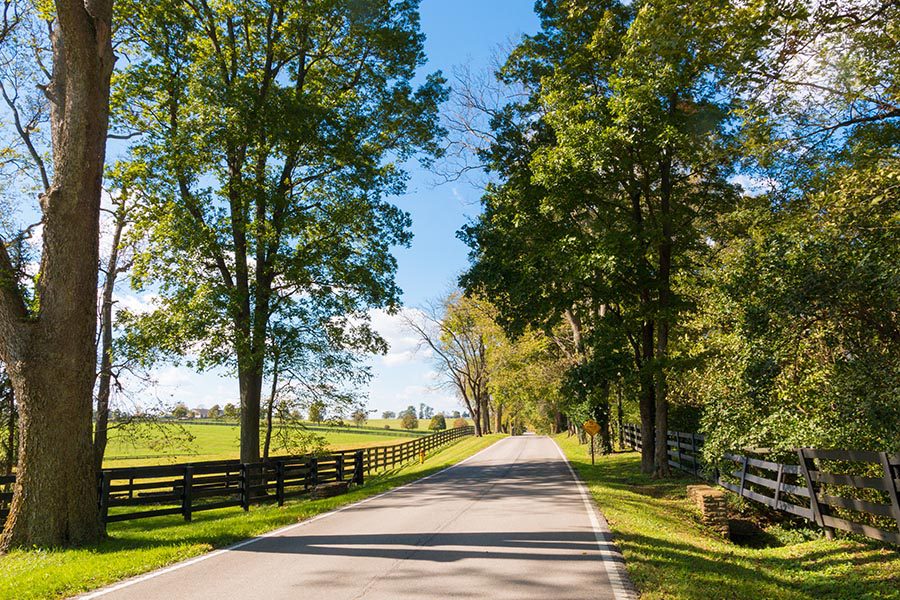 About Our Agency - Long Road with Fences and Trees on either Side, Bright Blue Sky Above